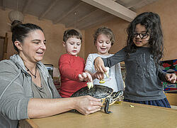 Panzerpflege mit Olivenöl: Erzieherin Sonja Antes, Marc, Isabella und Sofia (von links) kümmern sich in der protestantischen Kinder tagesstätte Betzenberg in Kaiserslautern um Schildkröte Maxi.