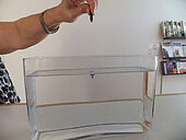 In ein großes Glasgefäß mit Wasser