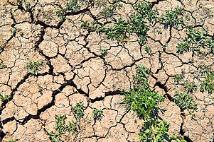 Deutliches Zeichen der Dürre: Aufgesprungener Boden in Hessen. Foto: epd
