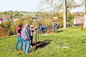 Schaufeln Erde und binden die Bäume an: Die Jugendlichen im Kirchgarten. Foto: Waldow