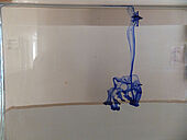 schauen, was daraus wird …