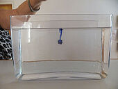 einen Tintentropfen geben und …