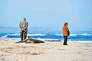 „Ehepaare sind die schlechtesten Ratgeber für Singles“, heißt es bei der Partnervermittlung: Szene am Strand auf Sardinien. Foto: epd